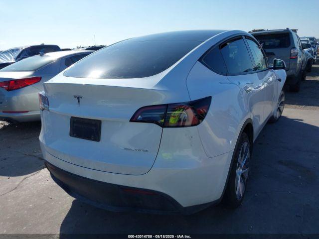 Tesla Model Y Image 5