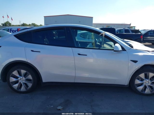 Tesla Model Y Image 11