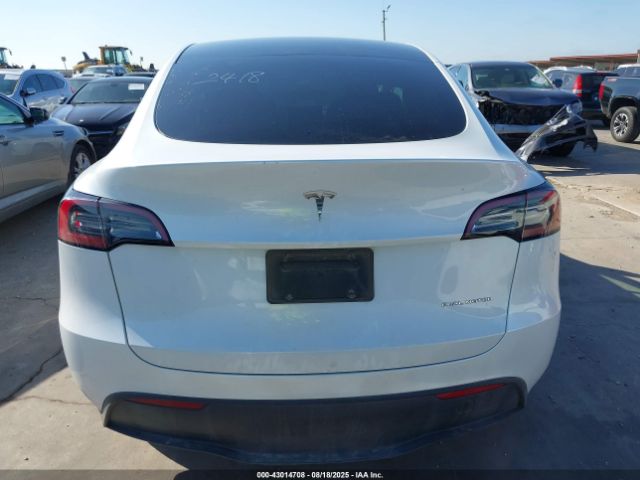 Tesla Model Y Image 15