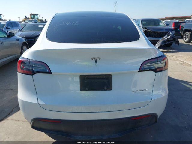 Tesla Model Y Image 15