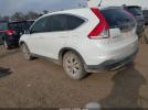 Honda CR-V Ex Image 8
