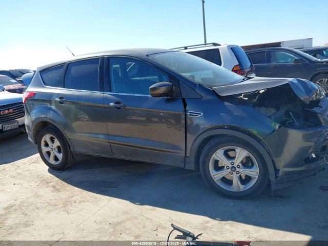 Ford Escape Se Image 11