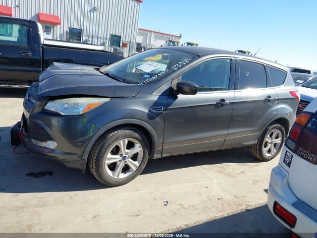 Ford Escape Se Image 15